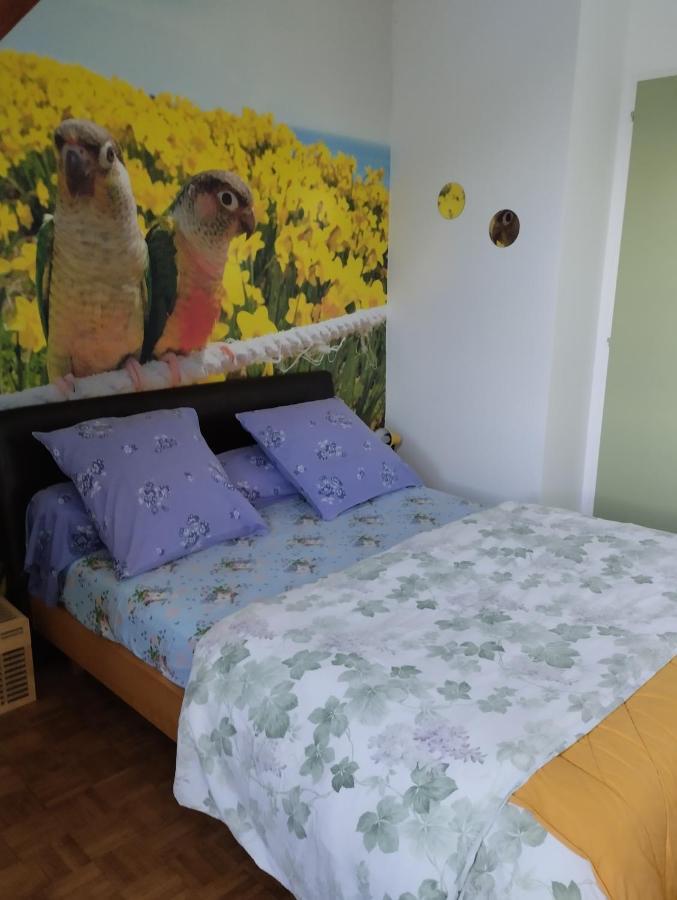 Chambres D'Hotes Du Clos Du Roi Ποντορσόν Εξωτερικό φωτογραφία